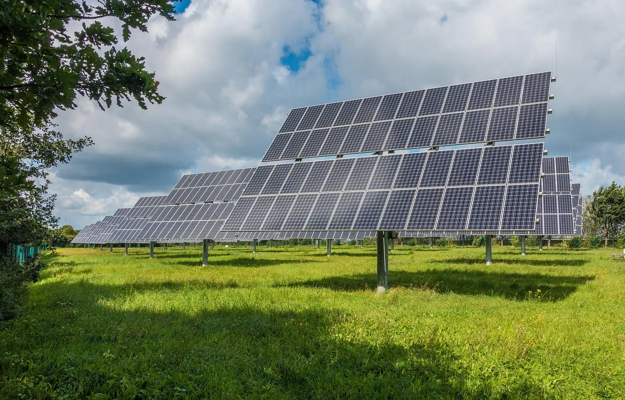 Campo de paneles solares montados en suelo